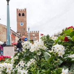 Noale in Fiore Domenica 12 Aprile 2026