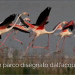 Parco Delta del Po, uno scrigno della Biodiversità tra Veneto ed Emilia Romagna